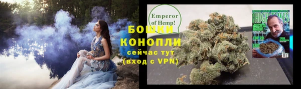стафф Вяземский