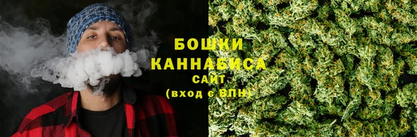 прущие крисы Вязьма
