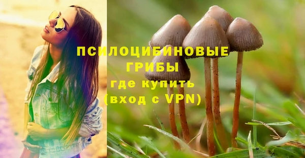 прущие крисы Вязьма