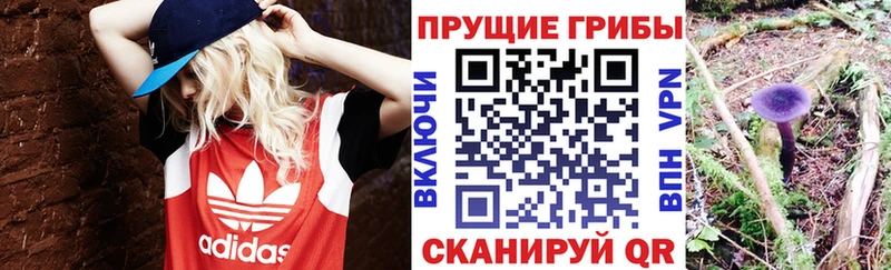 Галлюциногенные грибы ЛСД Купить где Волжский